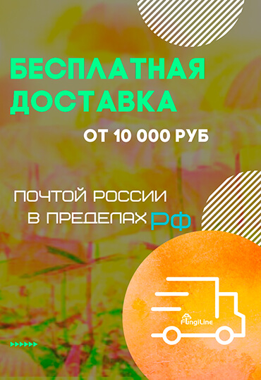 бесплатная доставка