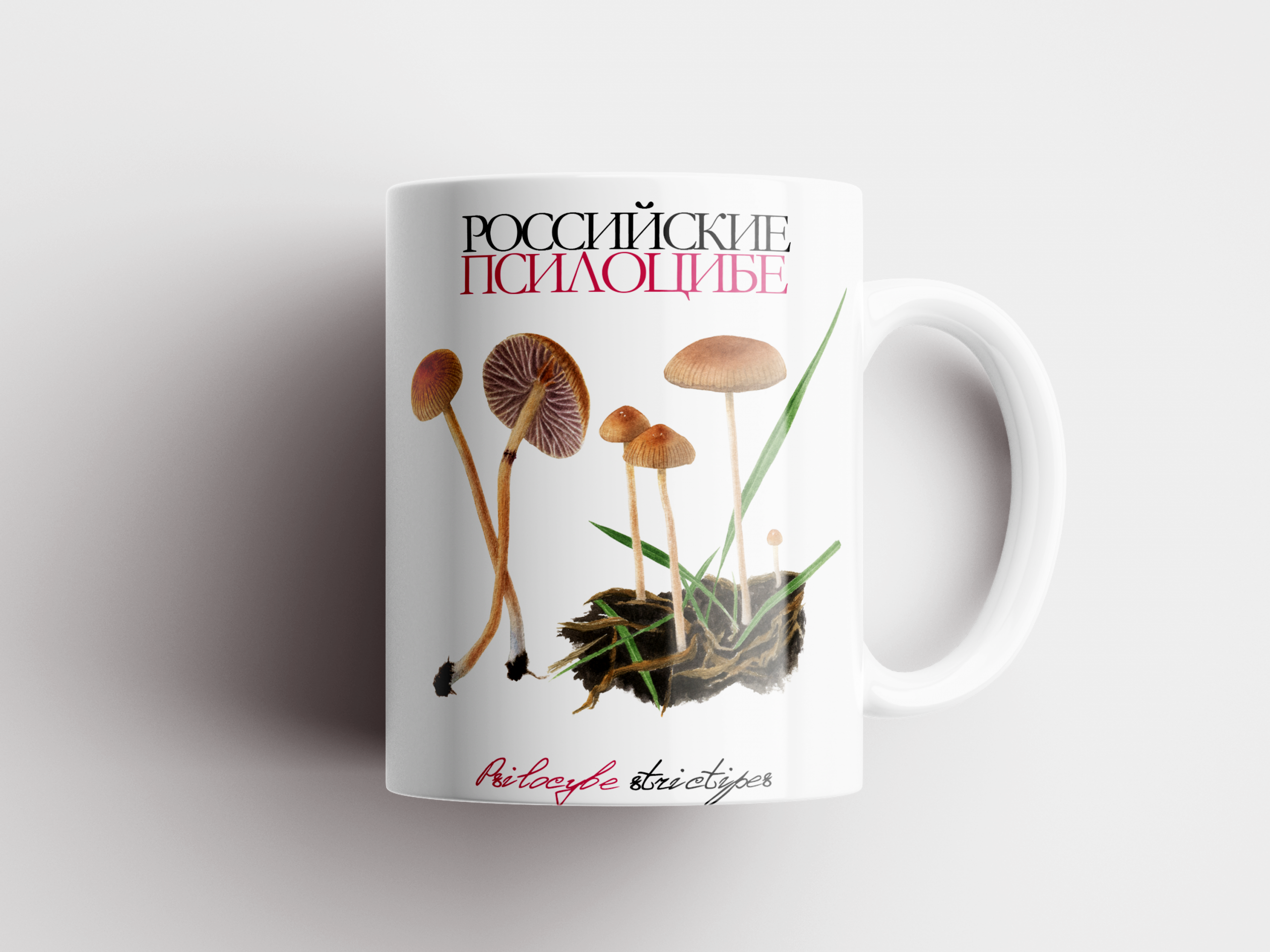 1-2.png Кружка «Российские псилоцибе» Psilocybe strictipes — изображение 1