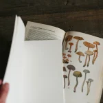 Блокнот «Notes» • Сувенир от Fungiline — изображение 3