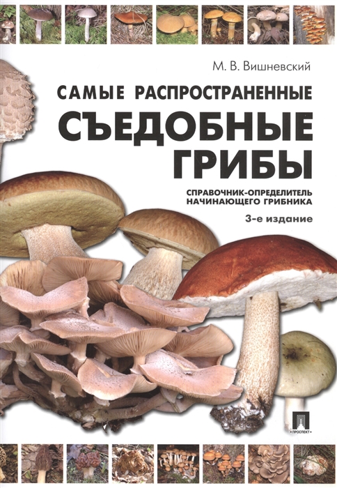 Самые распространенные съедобные грибы: справочник-определитель начинающего грибника — изображение 1