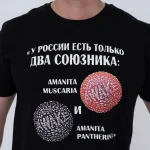 Футболка «У России есть только два союзника» • Грибной мерч — изображение 2